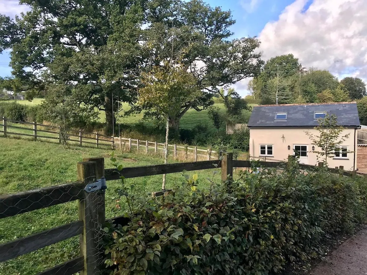Characterful, Cosy Dartmoor Cottage 埃克塞特 0*,  英国